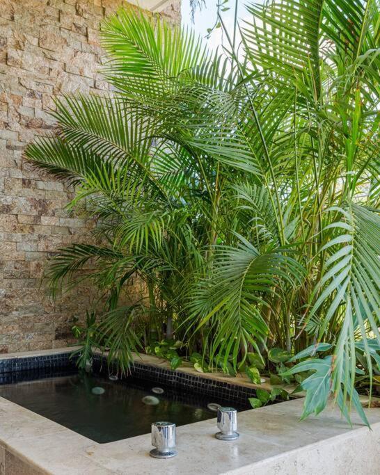Apartamento And Relax In The Jungle Of 3001 Tulum
