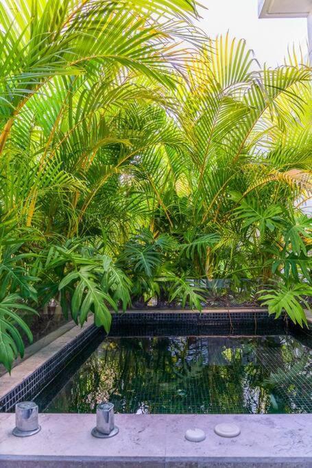 And Relax In The Jungle Of 3001 *