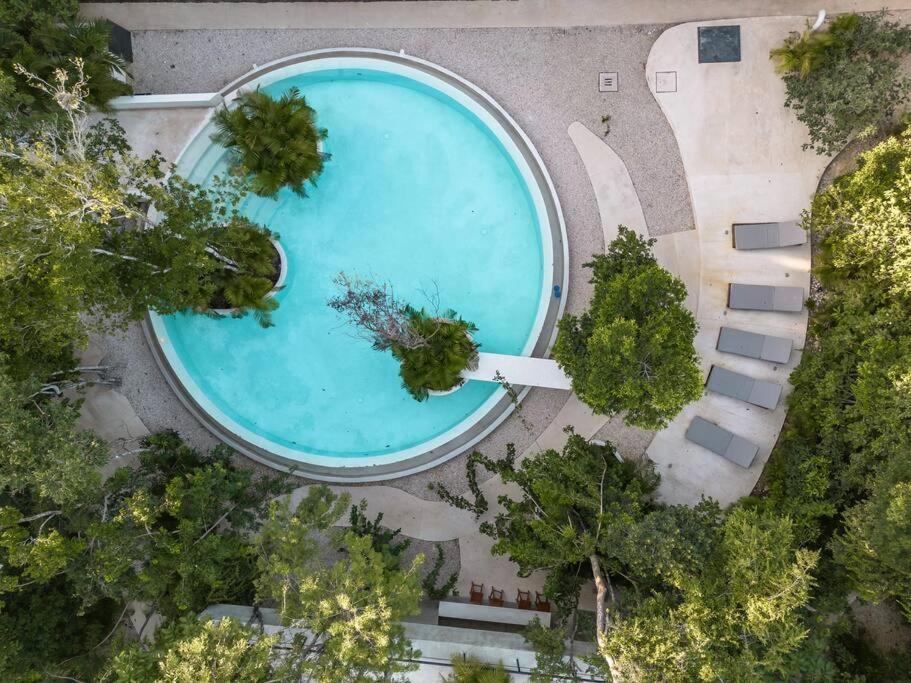 Apartment Loft Near Tulum