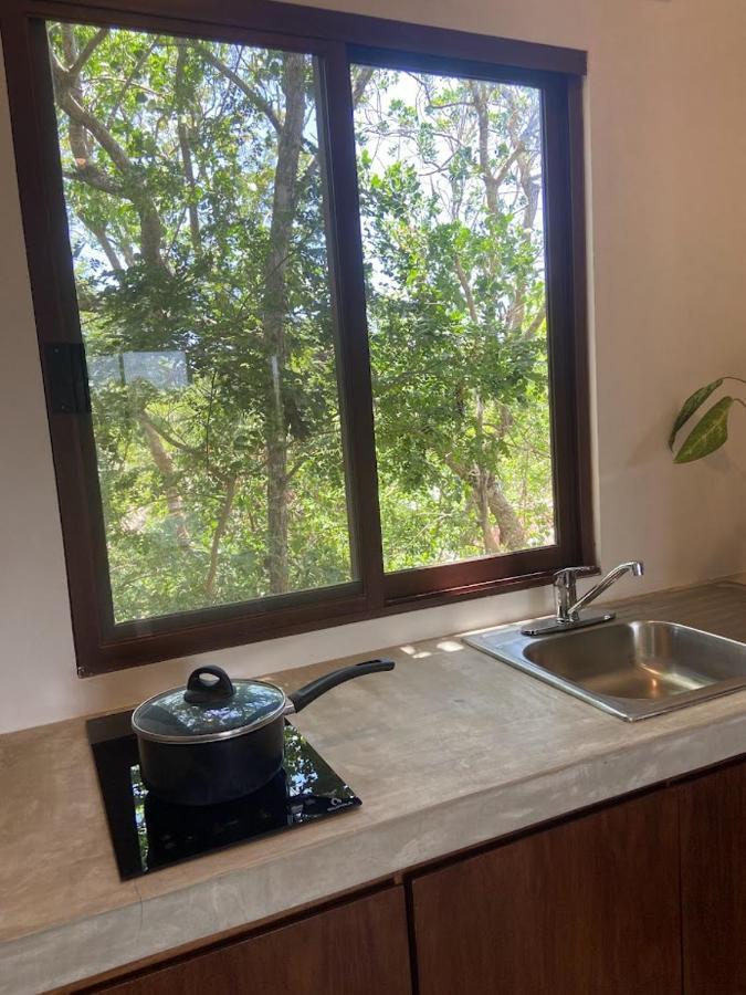 Basic La Veleta Apartamento *