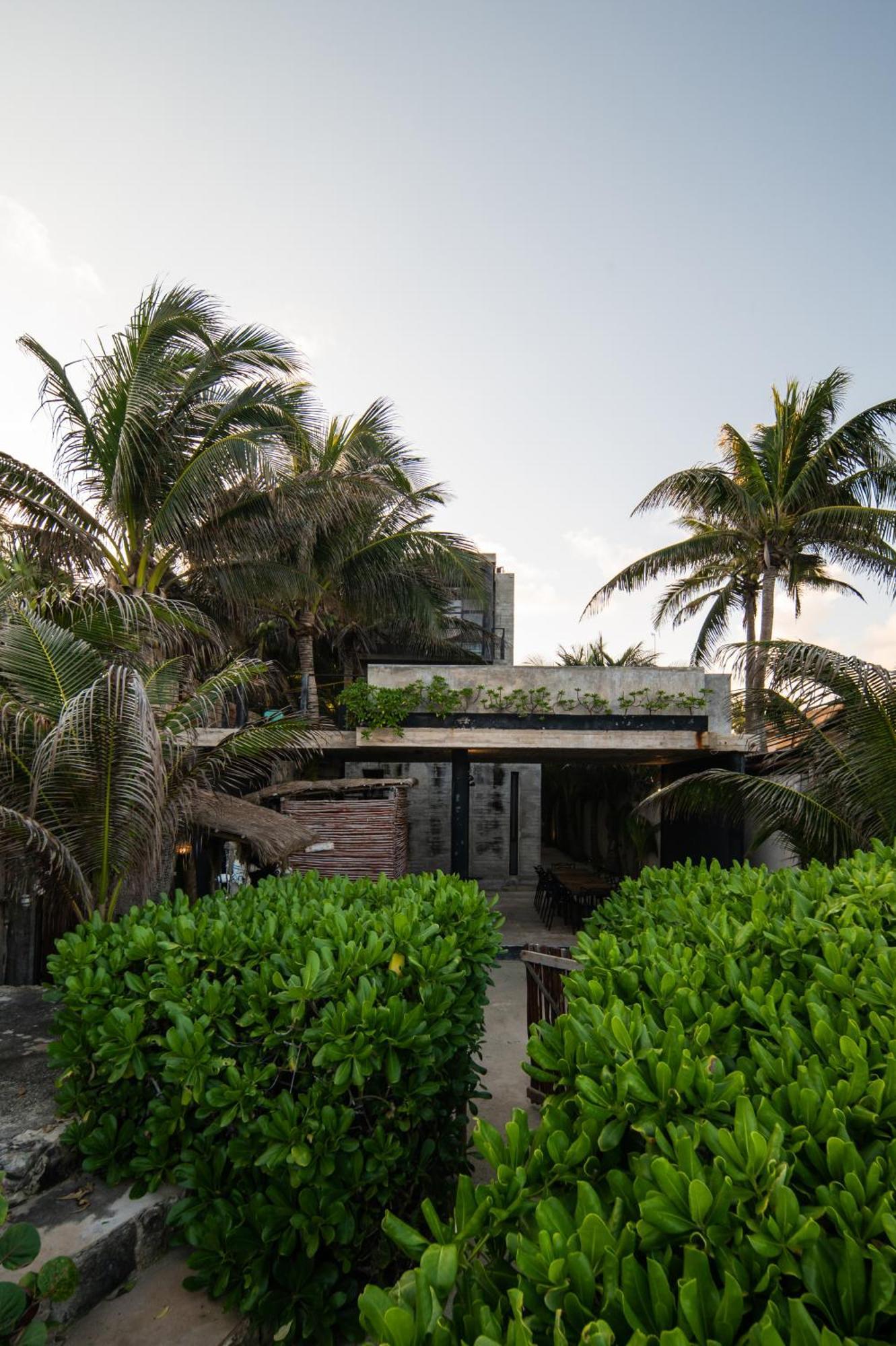 Hotel Tropicalito On The Tulum