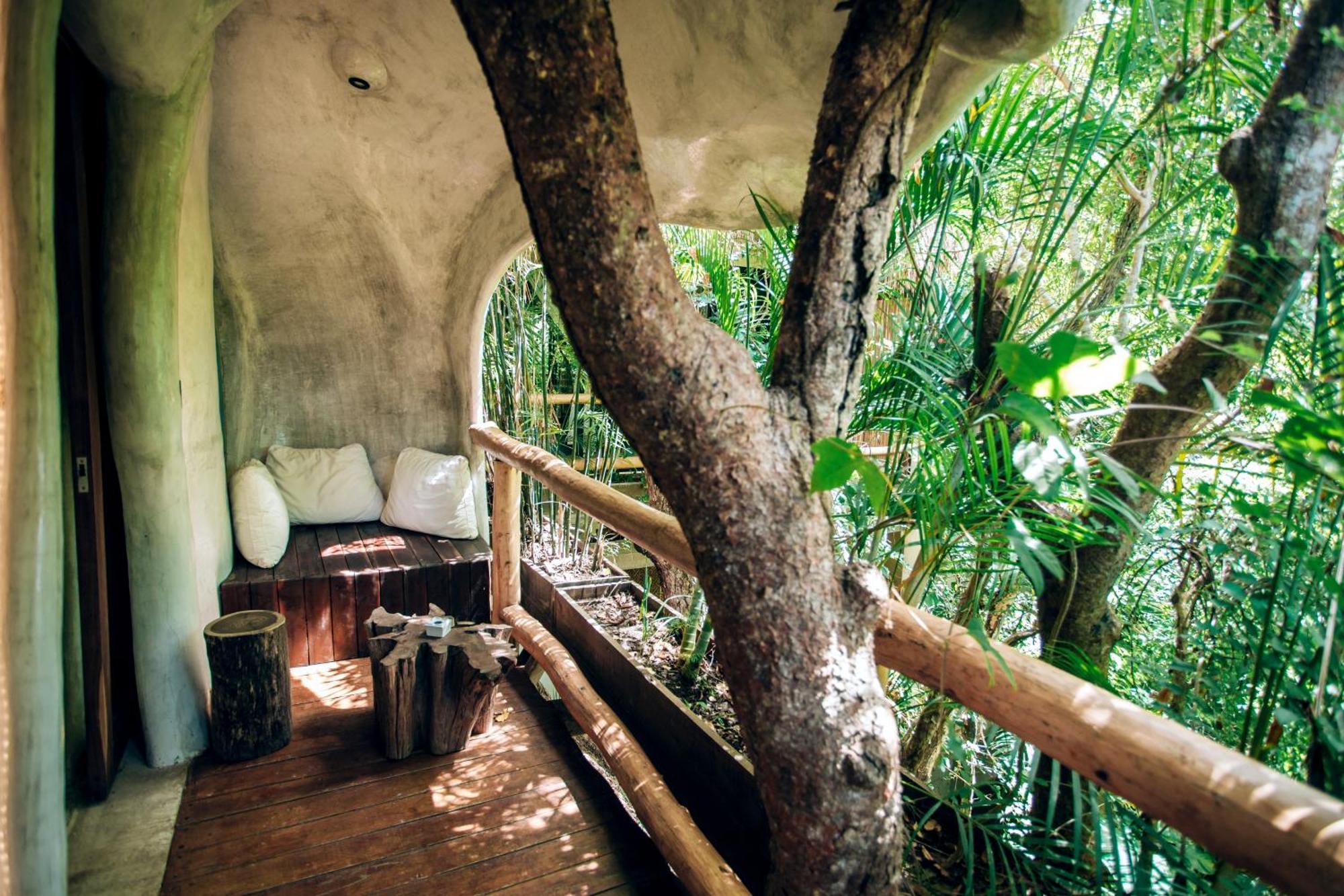 Hotel Orchid House Jungle
