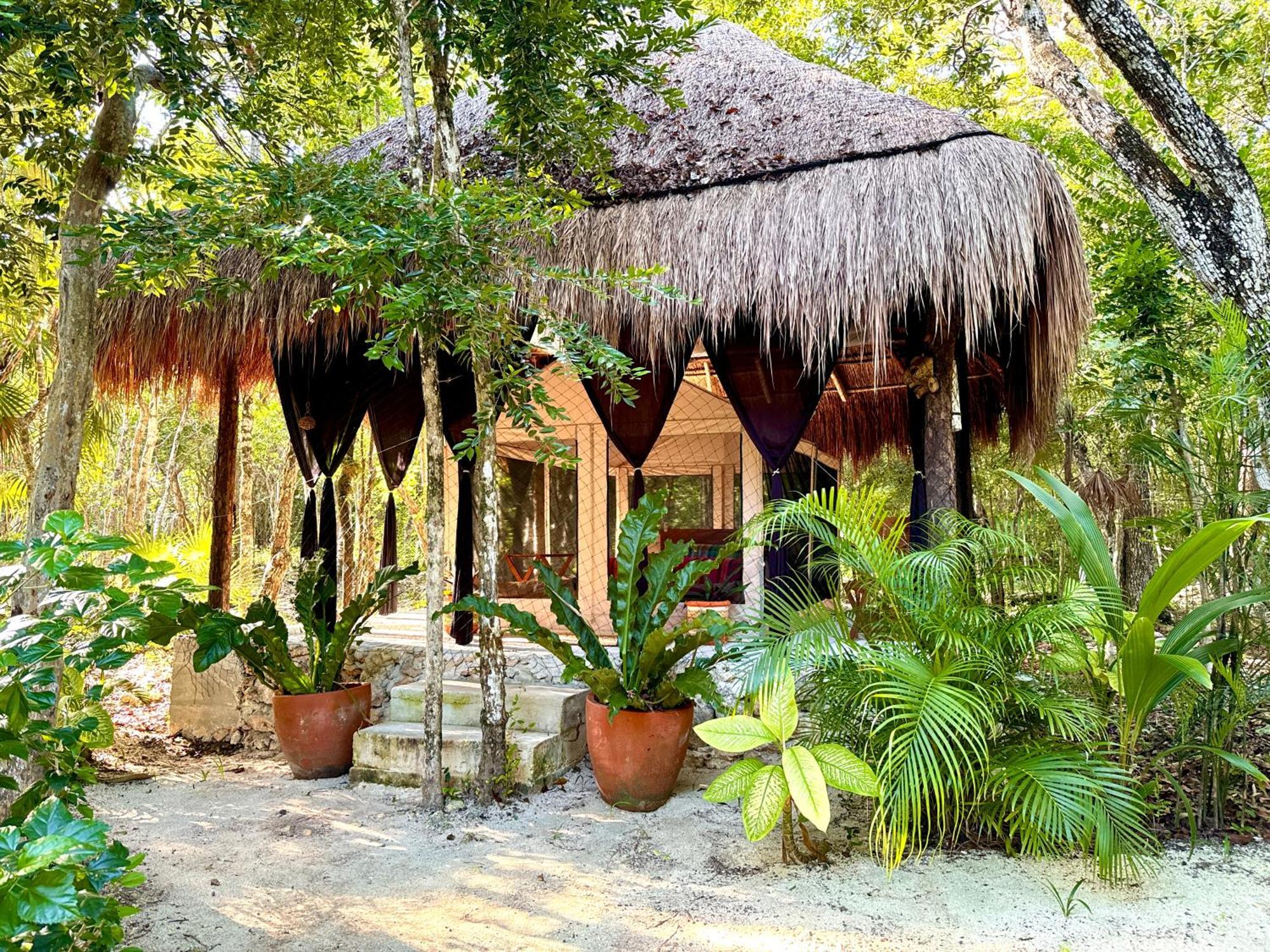 Glamping Bunga Lotus Camping *