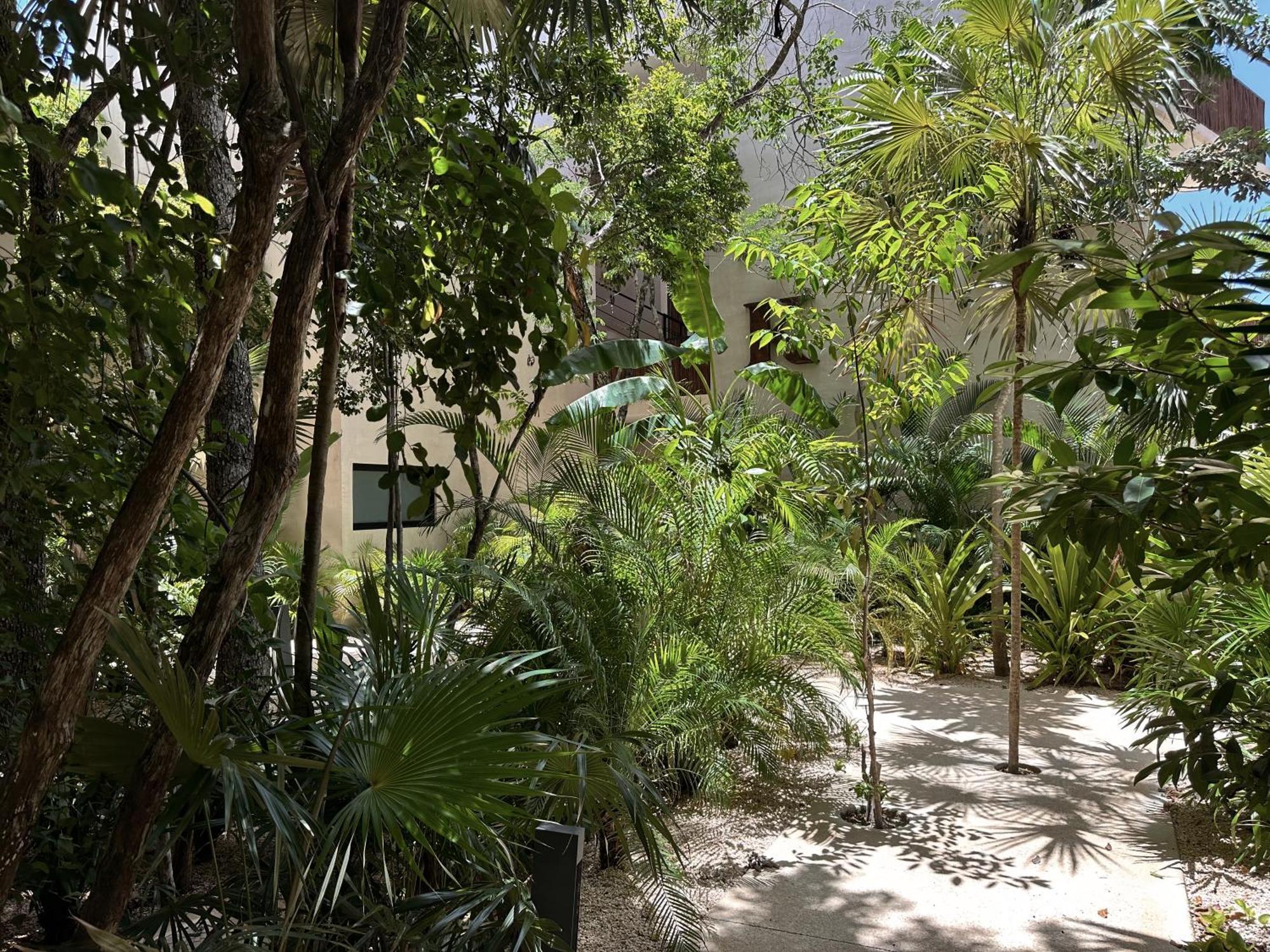 Apartahotel Ophelia In Aldea Zama *