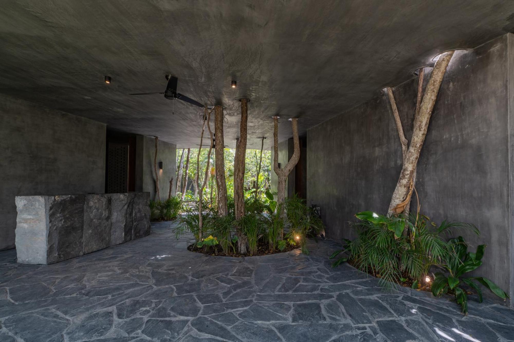 Apartamento 4br Amazing With Private Pool In By Solmar Tulum