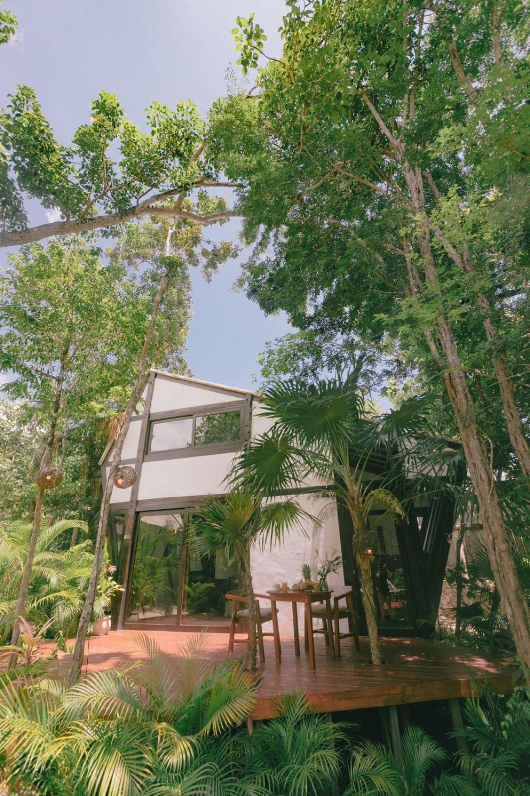Lodge Nahouse Jungle Tulum