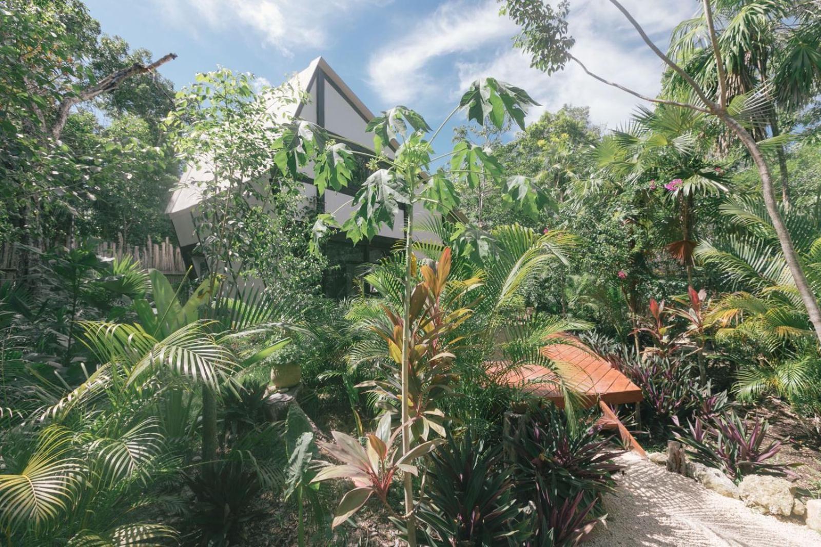 Nahouse Jungle *