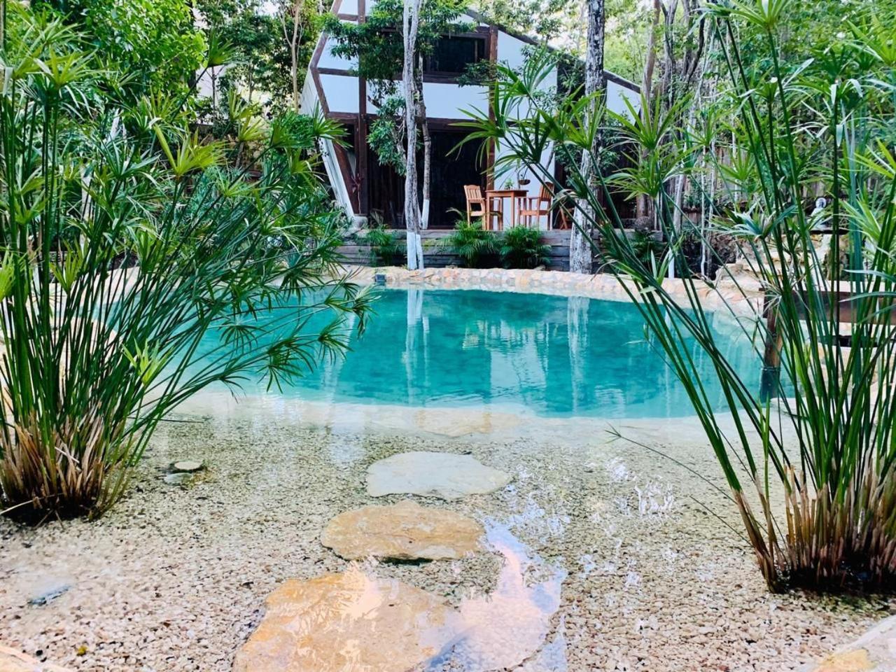 Nahouse Jungle