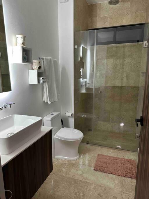 Luxury Rooftop With Private Pool Apartamento Tulum