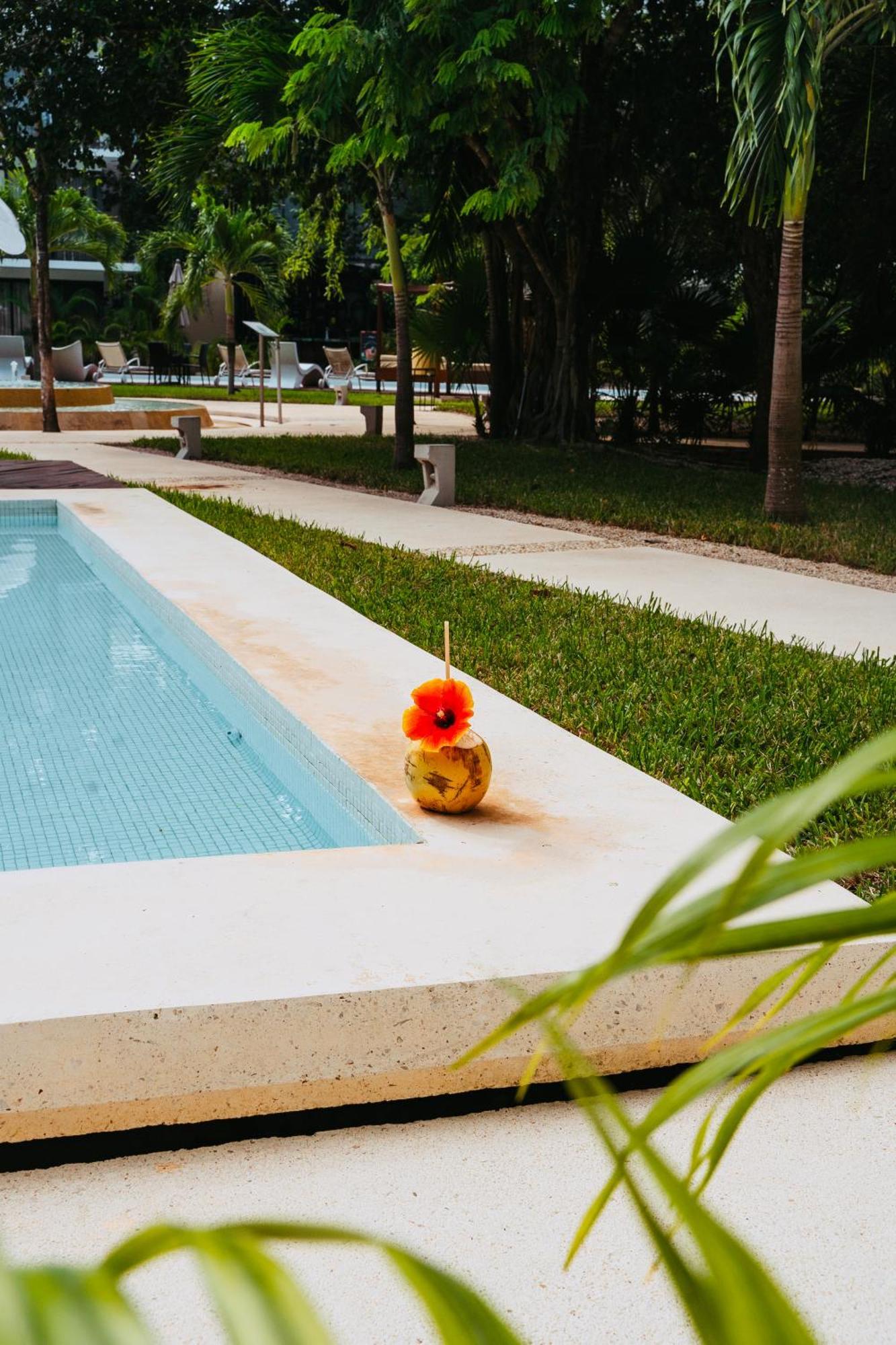 Luz De Luna Ii Apartamento Tulum