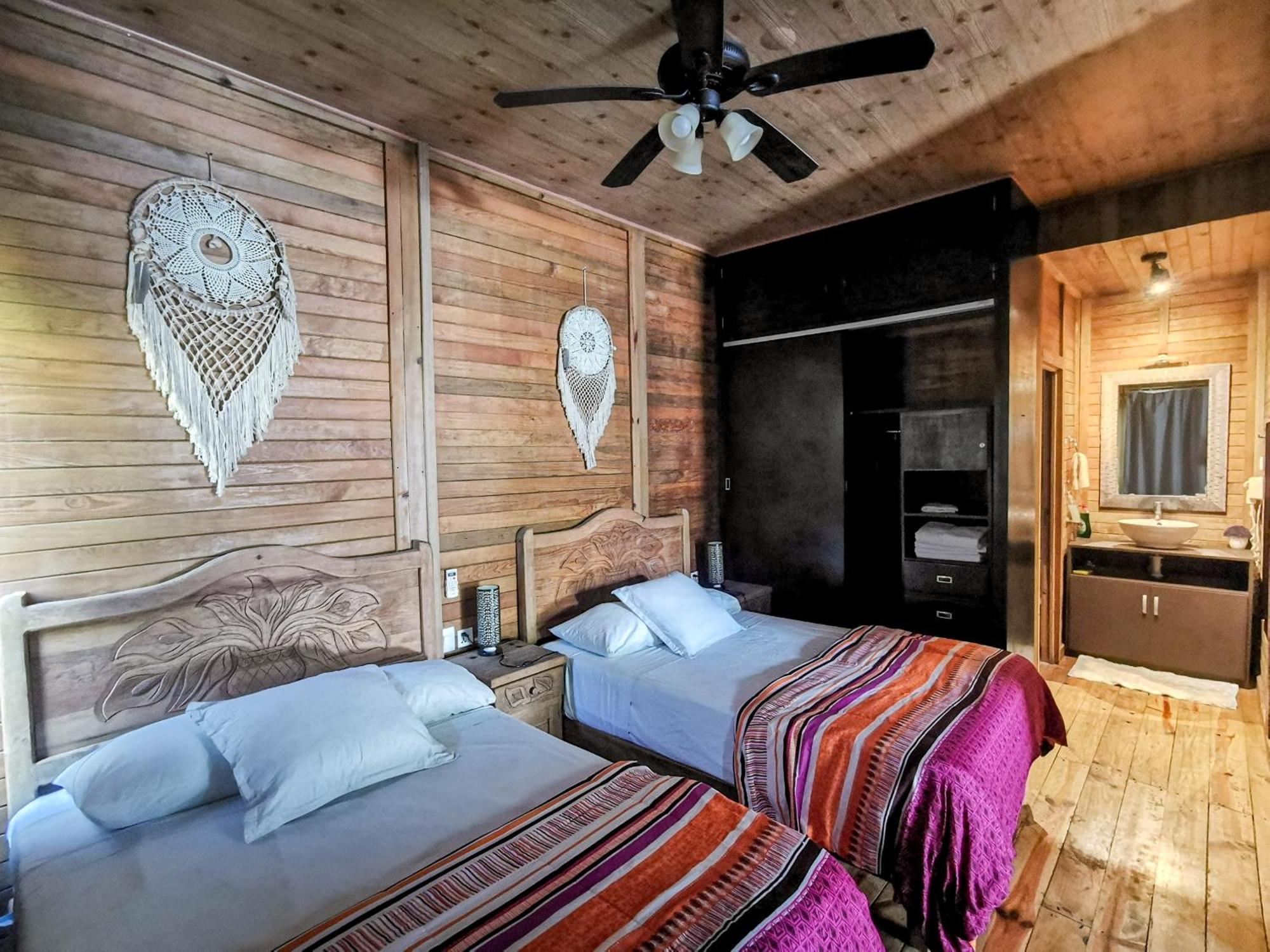 Alicat * Tulum