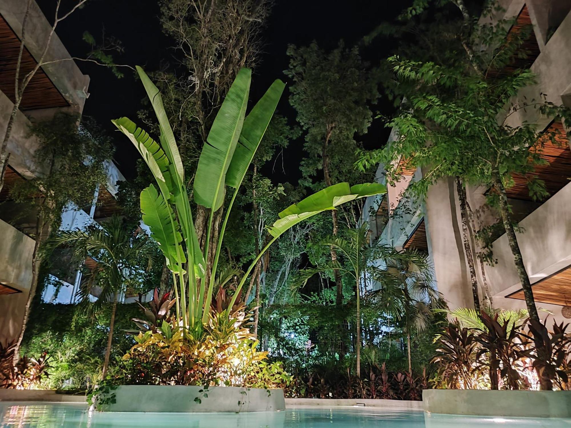 Apartamento In Harmony With Nature Tulum