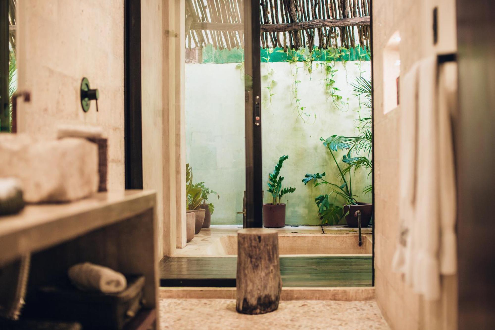 Hotel Orchid House Jungle 5*