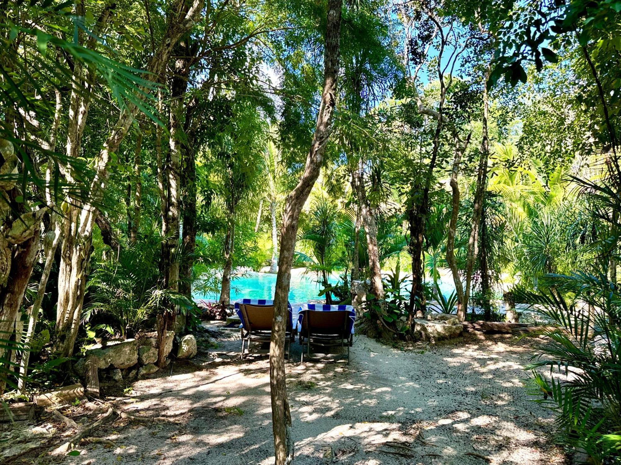 Glamping Bunga Lotus Camping