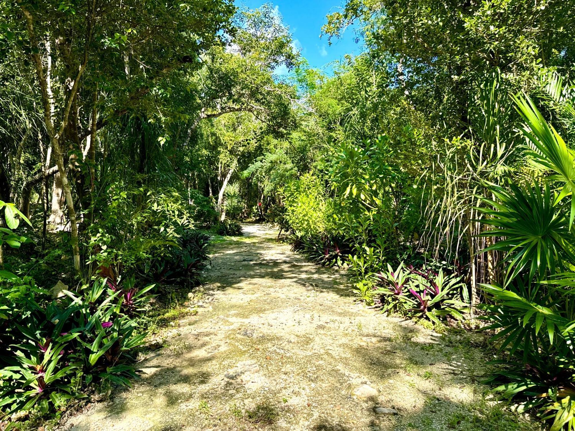 Camping Glamping Bunga Lotus Tulum