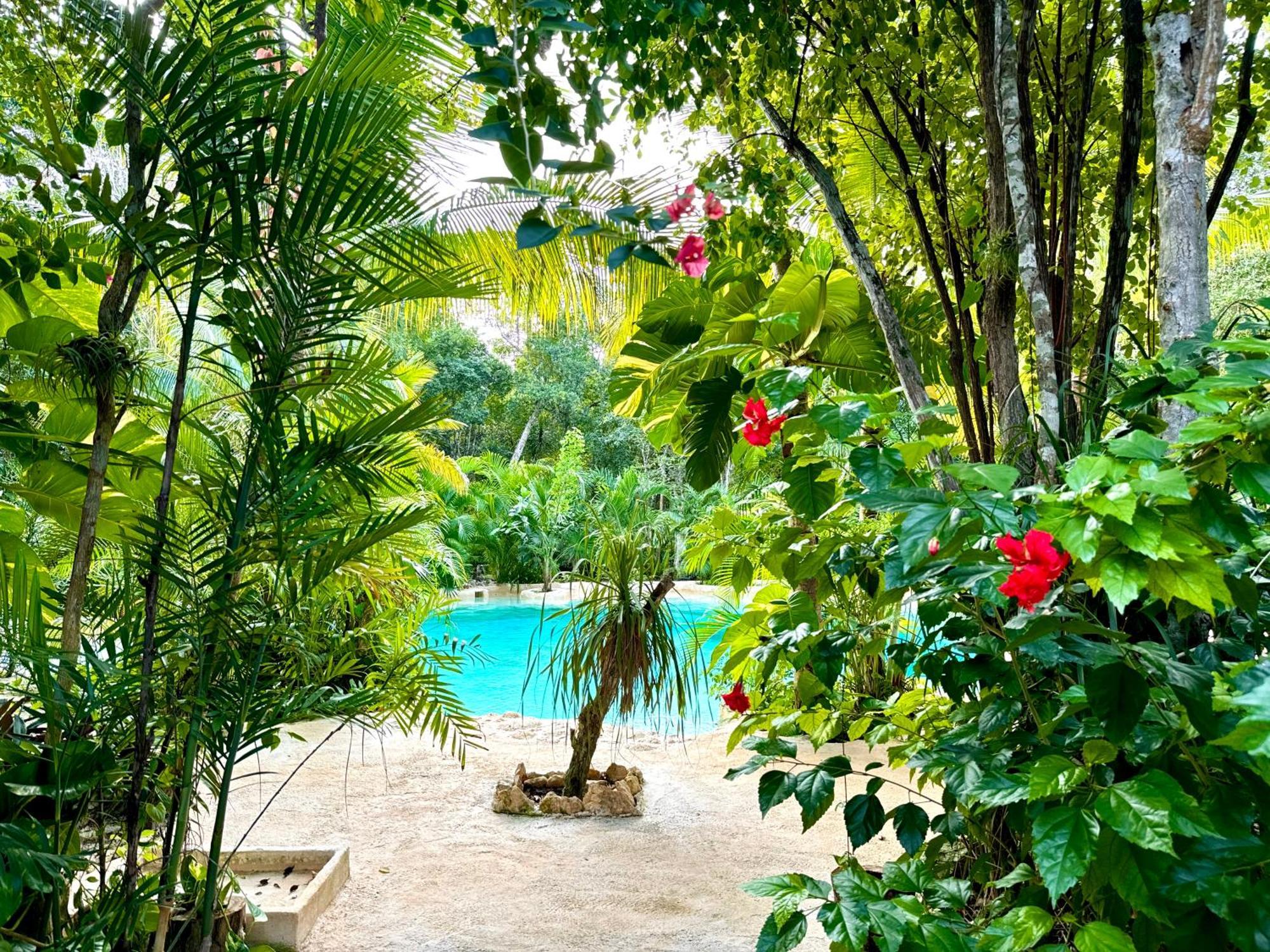 Camping Glamping Bunga Lotus Tulum