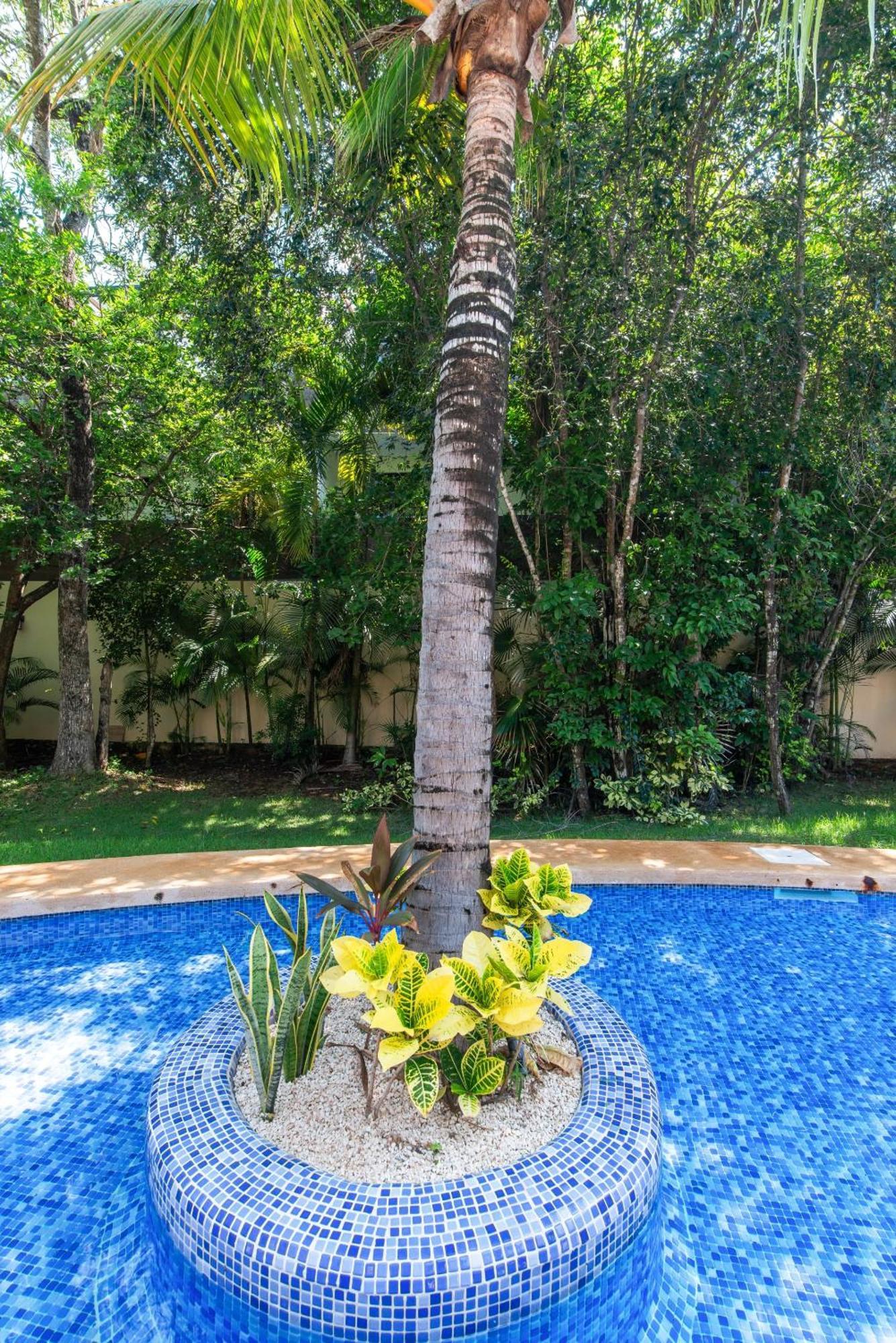 Tropical Elegance: Luxurious With Pool View Apartamento Tulum