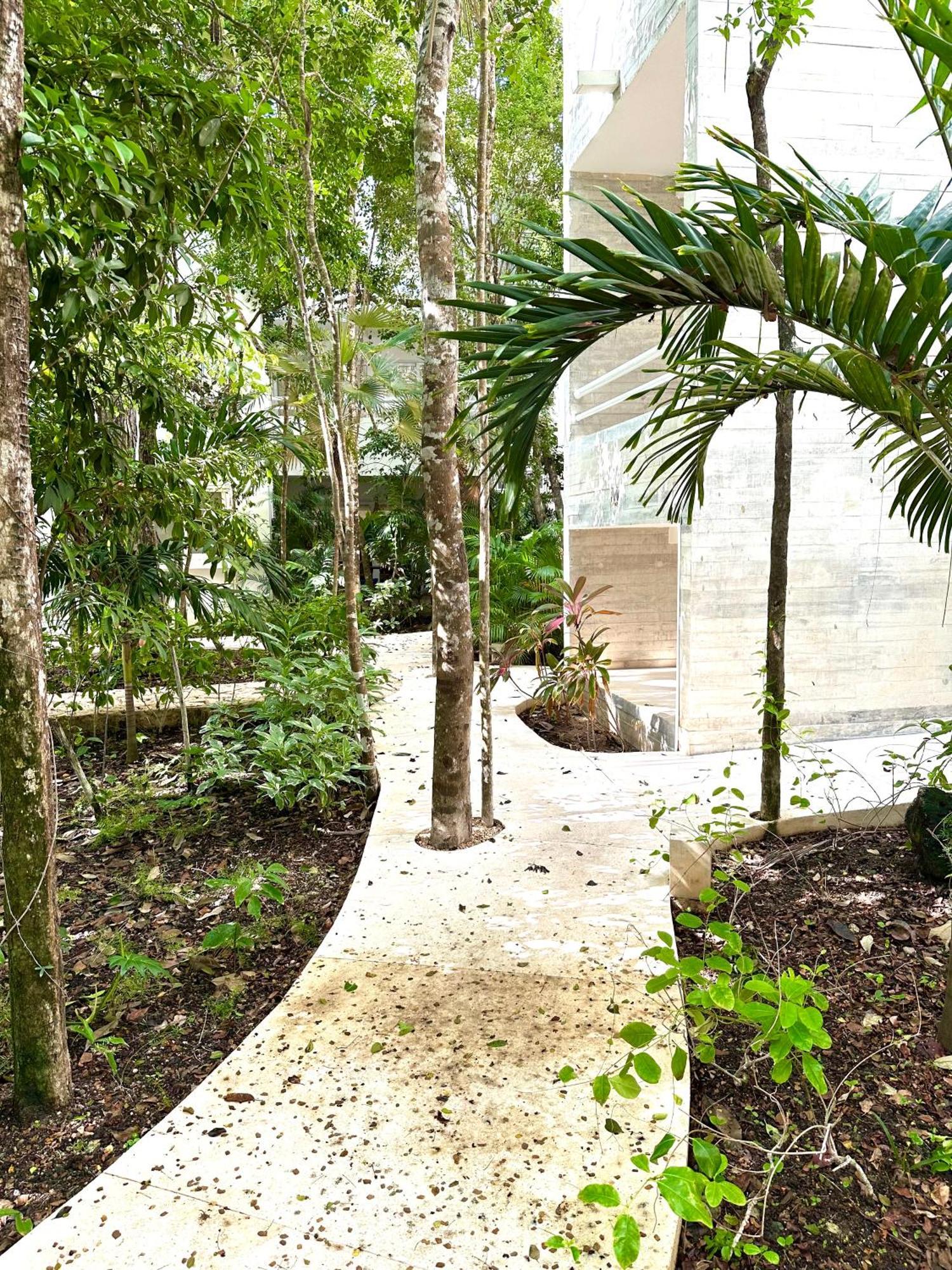 Cozy In - Aldea Zama - 2 Pools, Gym & Palapa Apartamento *
