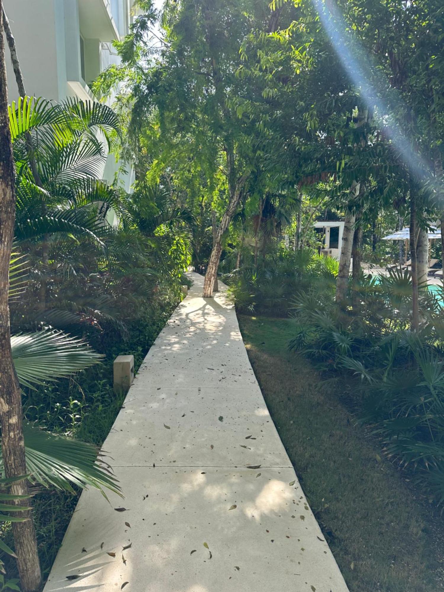 Cozy In - Aldea Zama - 2 Pools, Gym & Palapa *