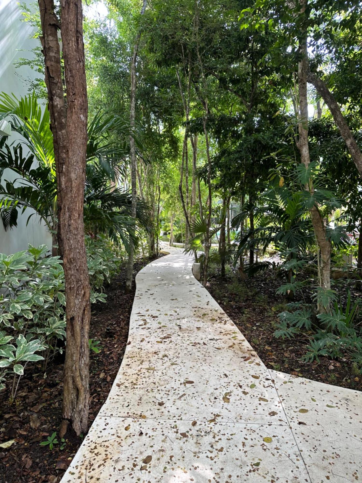 Cozy In - Aldea Zama - 2 Pools, Gym & Palapa Tulum