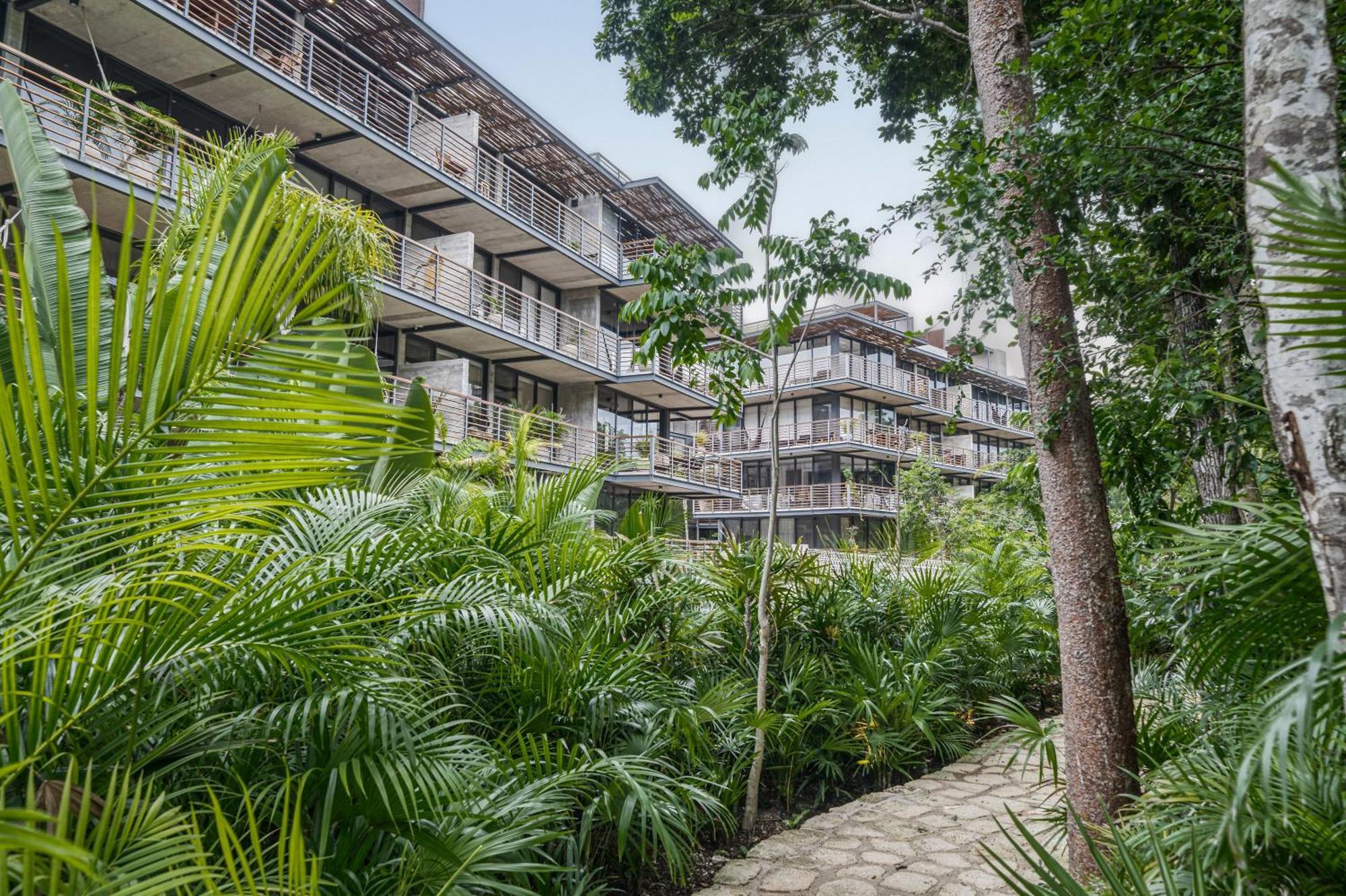 Waterworld 2br W Cenote -lagoons - Big Gym Tulum