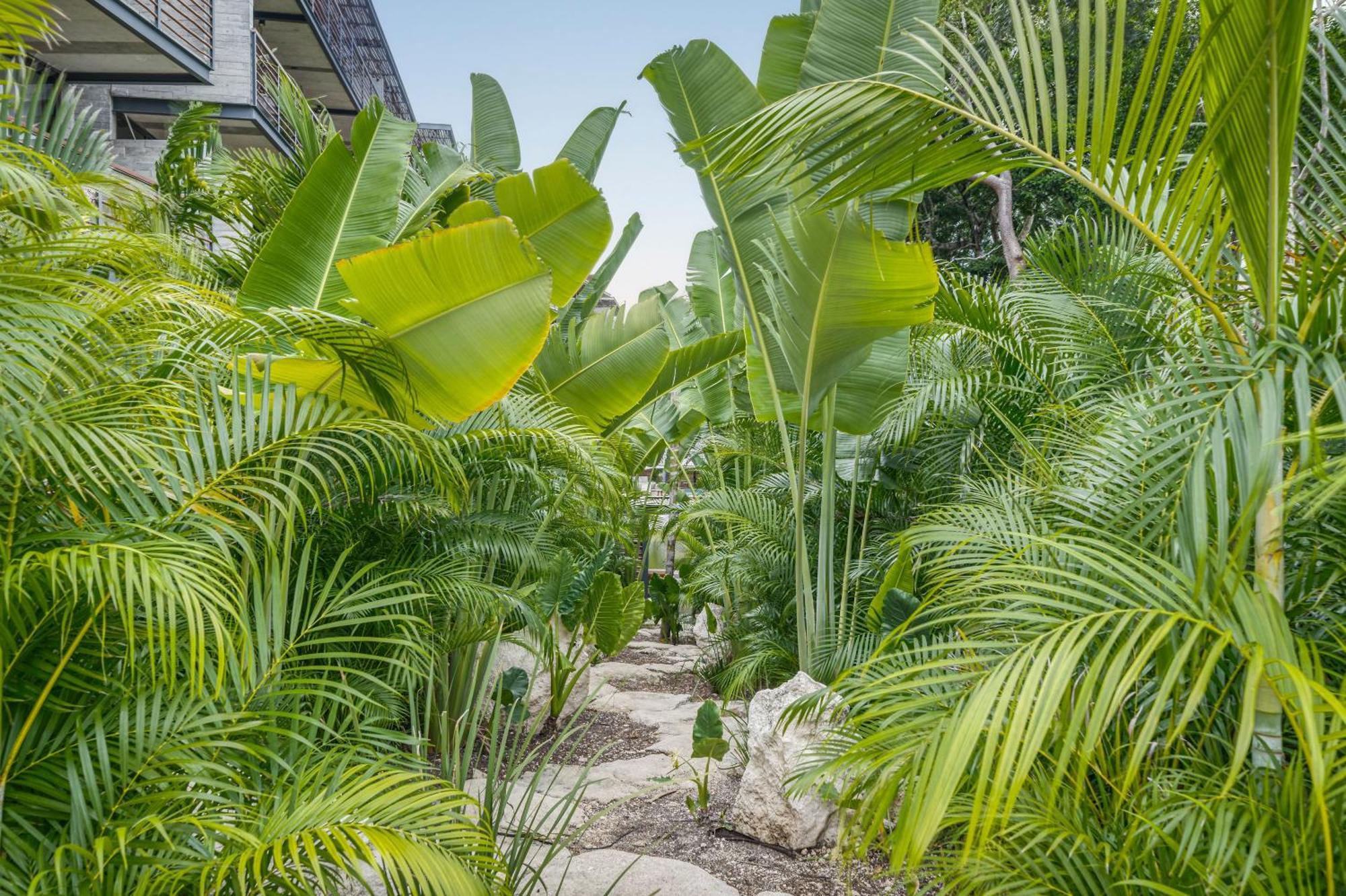 Waterworld 2br W Cenote -lagoons - Big Gym * Tulum