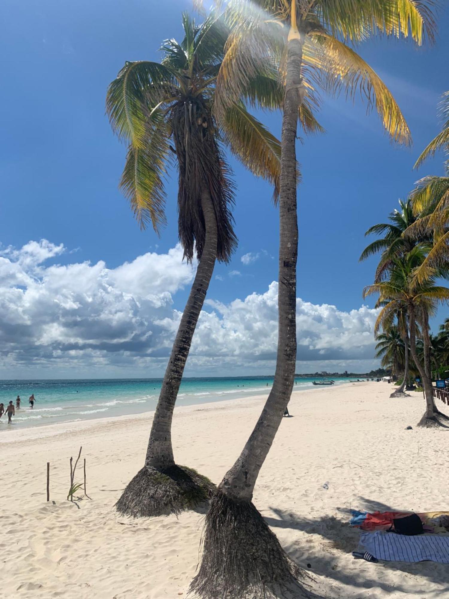Tua Tulum Apartments Large Comfortable Pool Parking Space * Tulum