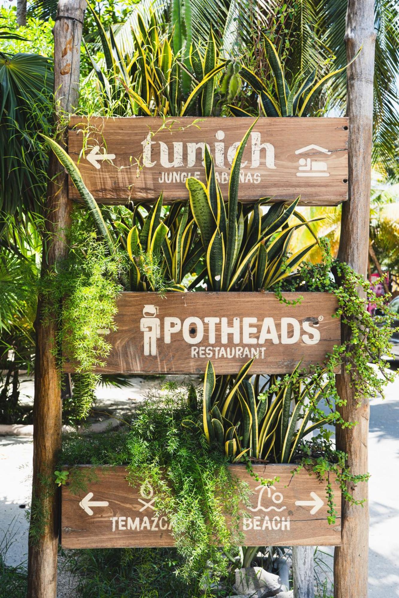 Tunich Jungle Pensión