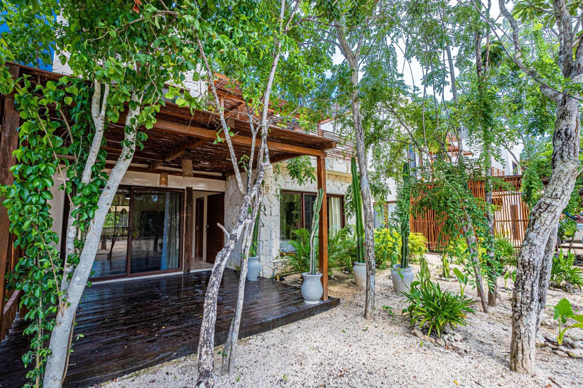 Jungle - Jaguar Villa Tulum