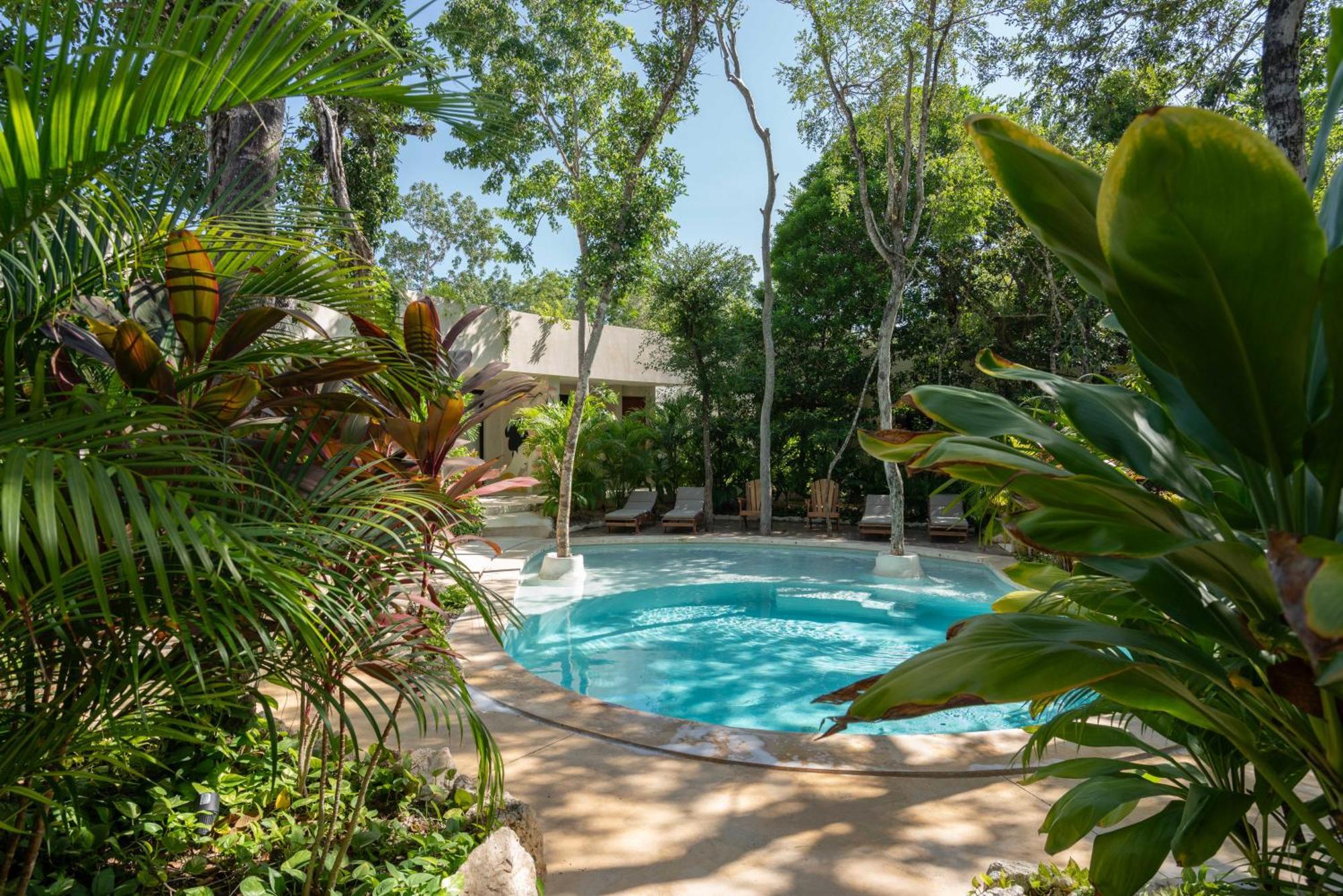 At Treetops Apartamento *