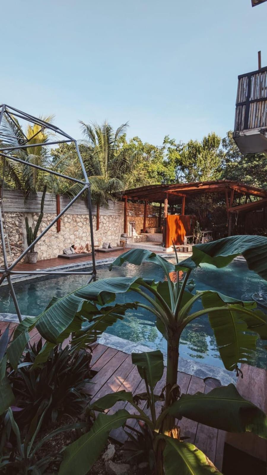 Hotel Botanica