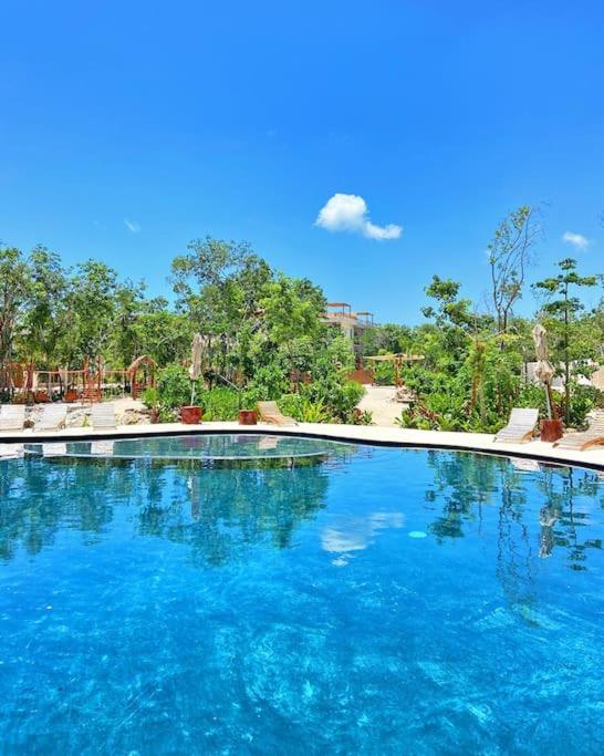 Private Rooftop Penthouse With Pool, Bbq & Jungle View Apartment Tulum