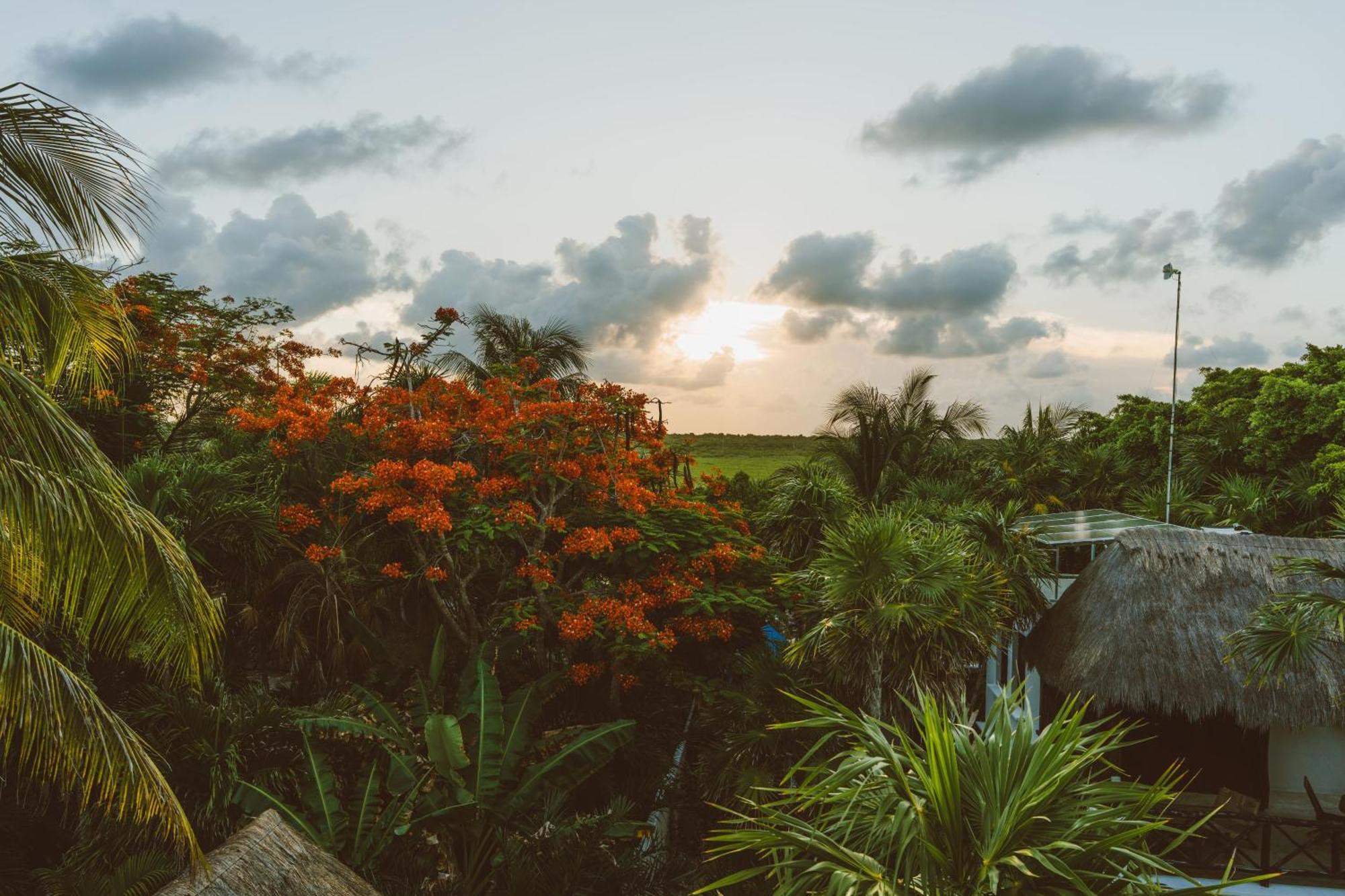 Elements Rituals Beachfront Bahia Soliman * Tulum
