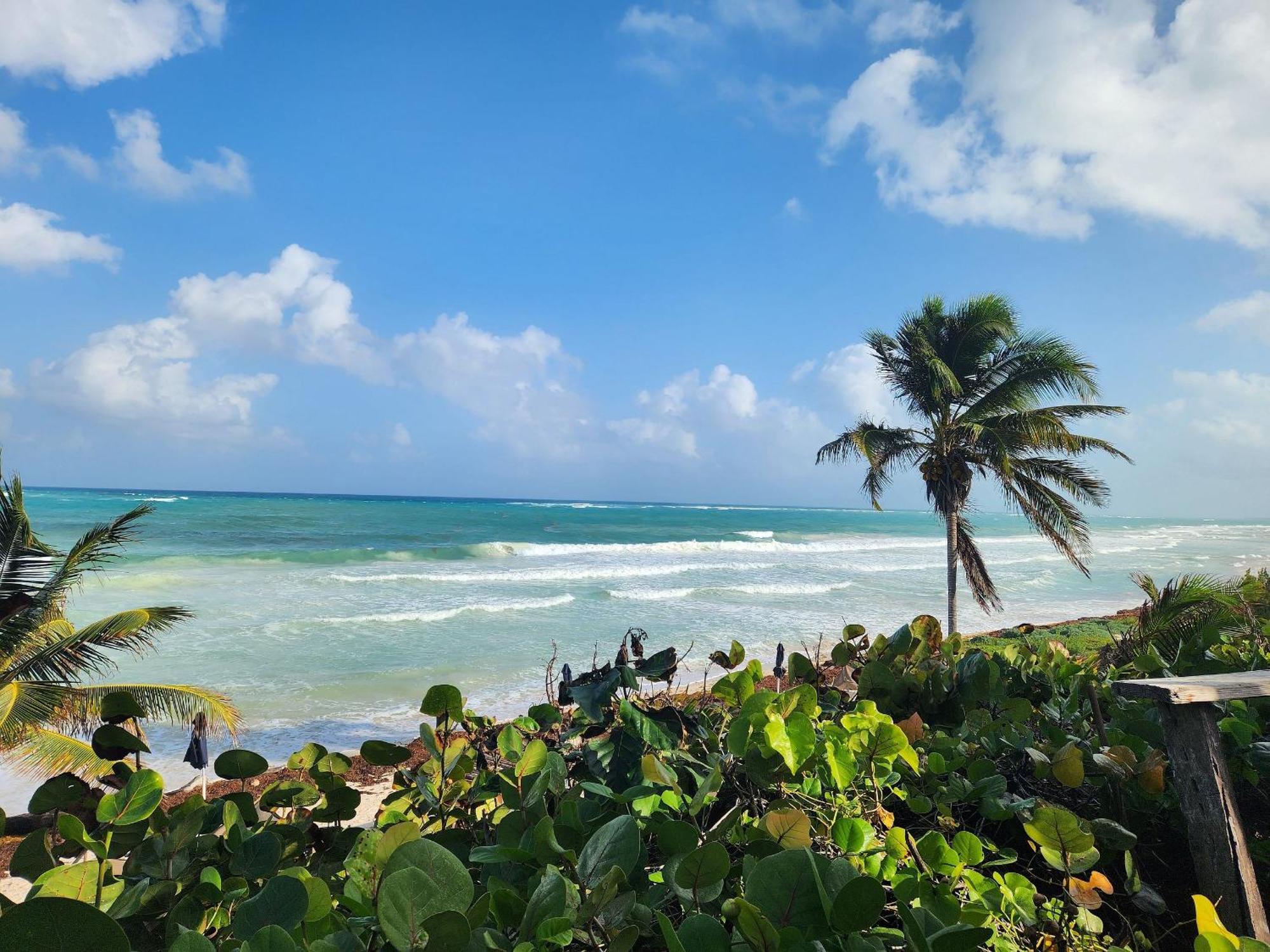 Casa De Tres Recamaras Con Alberca Compartida Con Hermosas Vistas A La Jungla Y Cerca De Todo, Ruinas, Cenotes, Laguna, Playa, Con Cochera Privada * Tulum