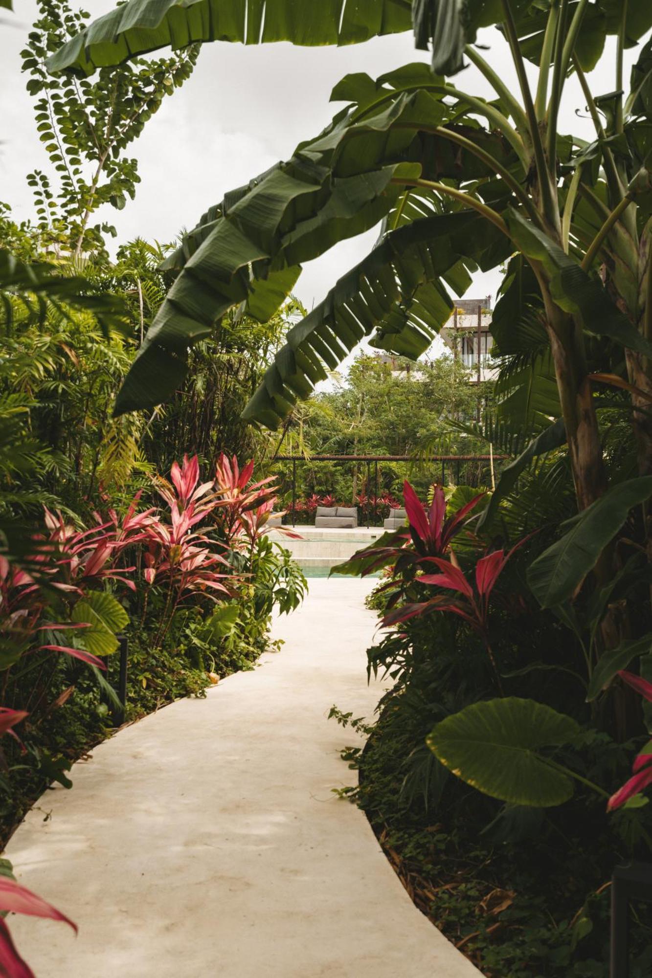Gorgeous Loft With Gym, Pools And Rooftop Terrace Apartamento Tulum