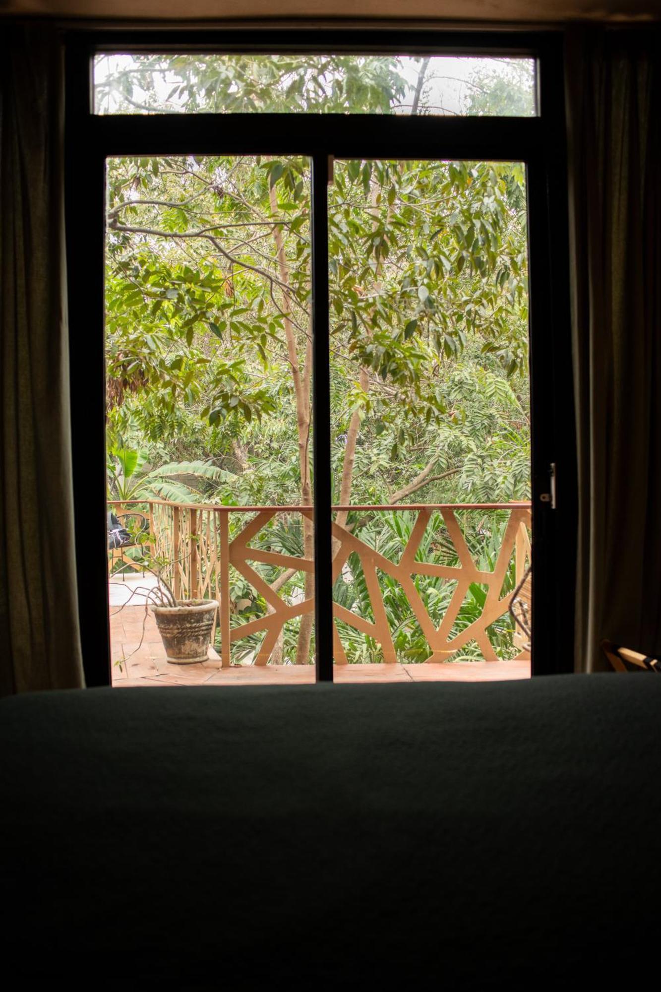 Bufo Alvarius Hotel