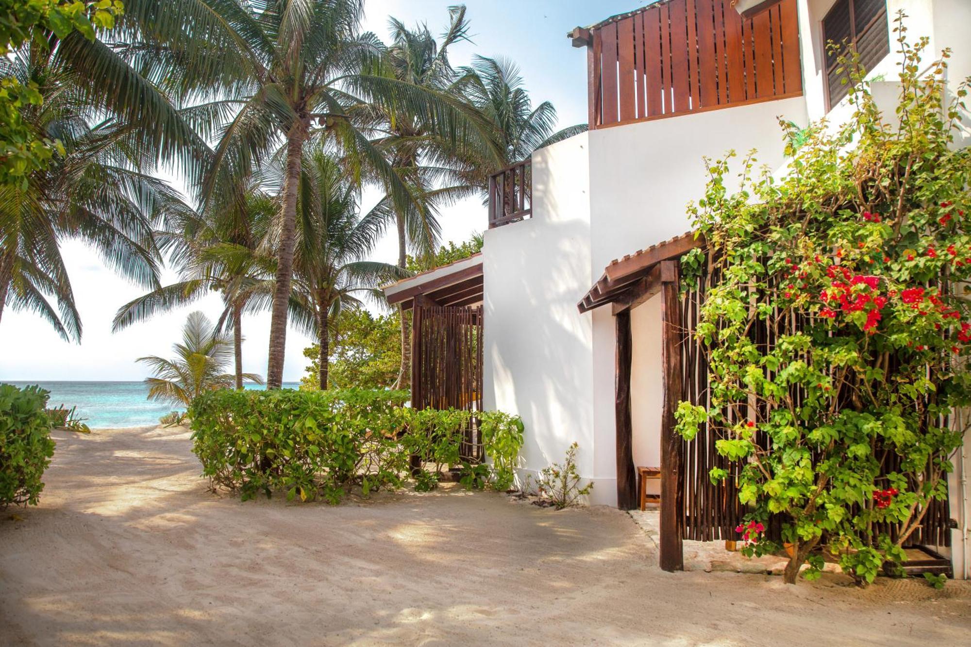 Bed and breakfast Casa Colibrí Tankah 2*