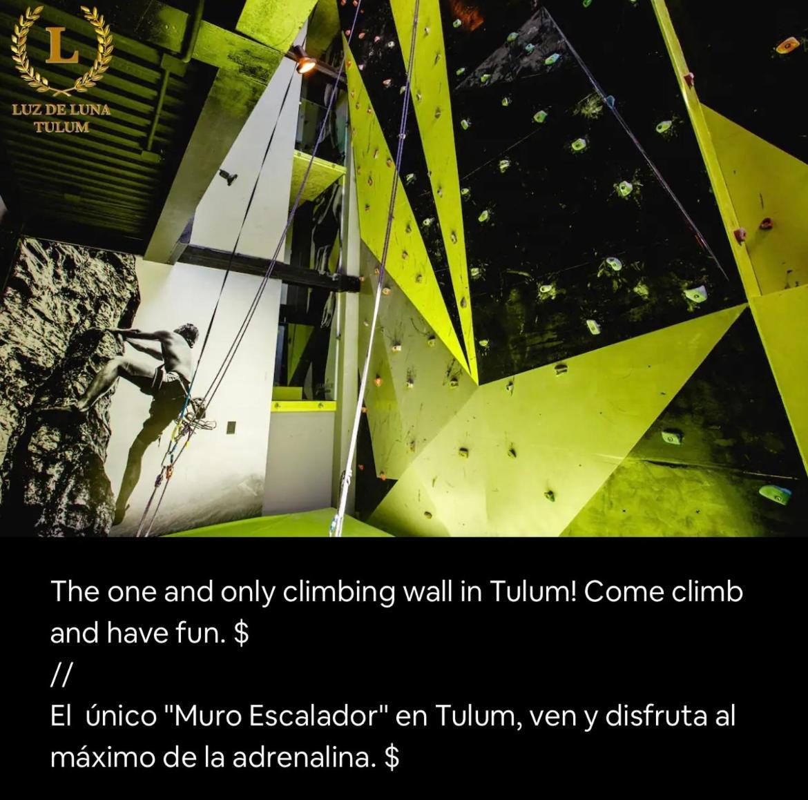 Apartamento Luz De Luna Ii *