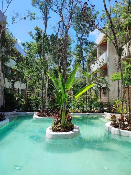 In Harmony With Nature Tulum