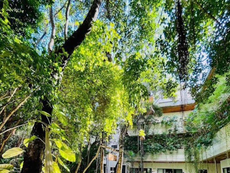 Apartment Penthouse Familiar Con Alberca