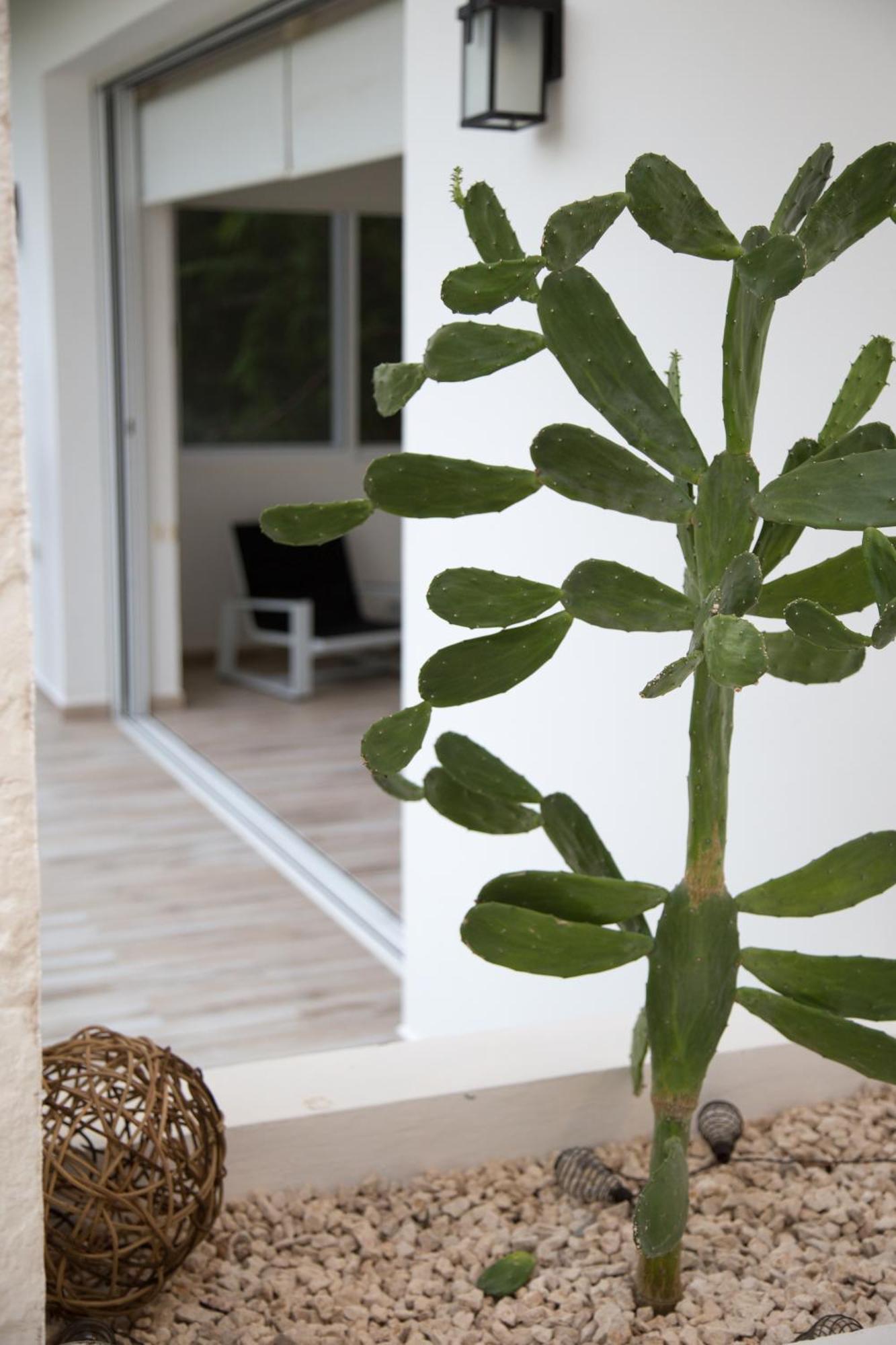 Luxury Private , Private Pool, Private Garden, Jacuzzi, 24hours Security Villa Tulum