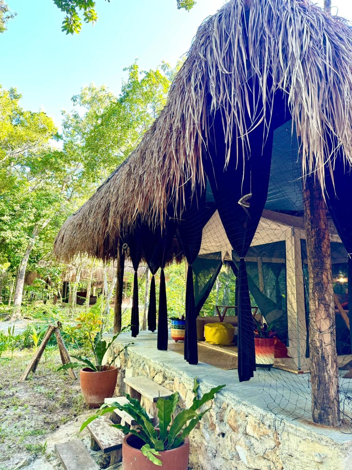 Camping Glamping Bunga Lotus Tulum