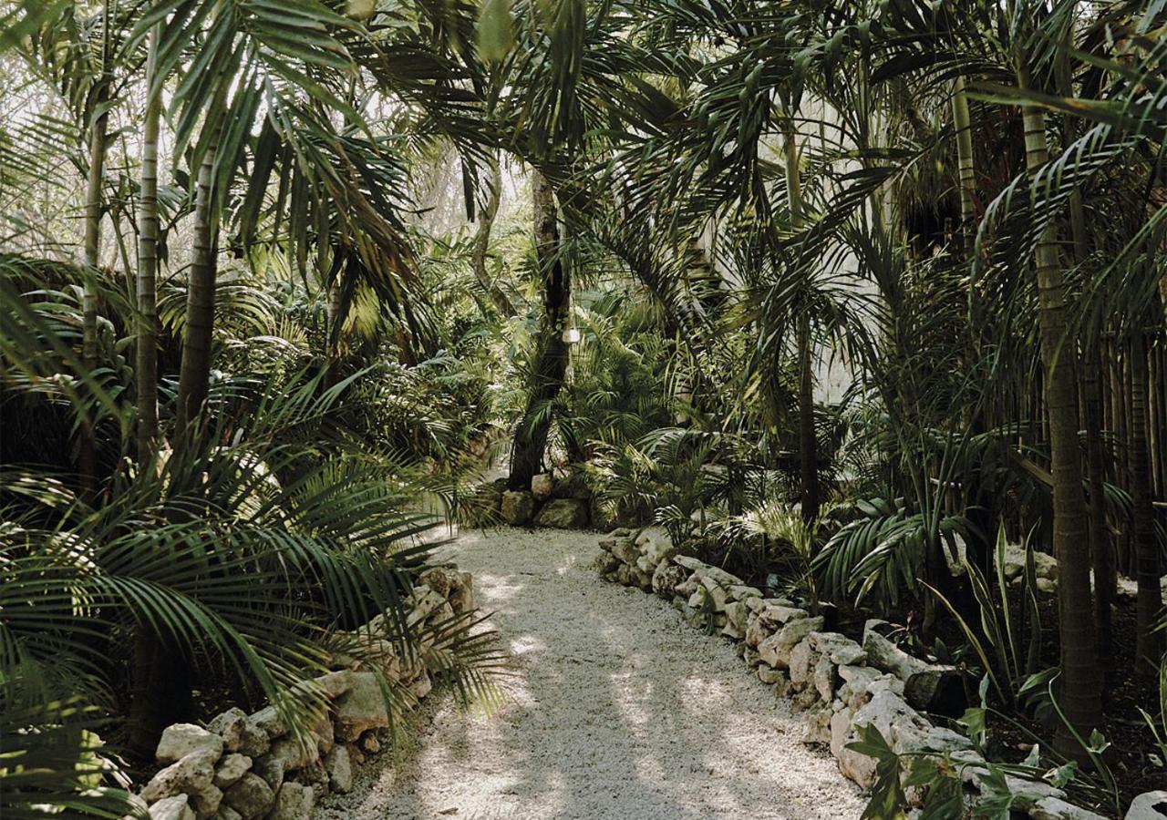 Vida Tulum