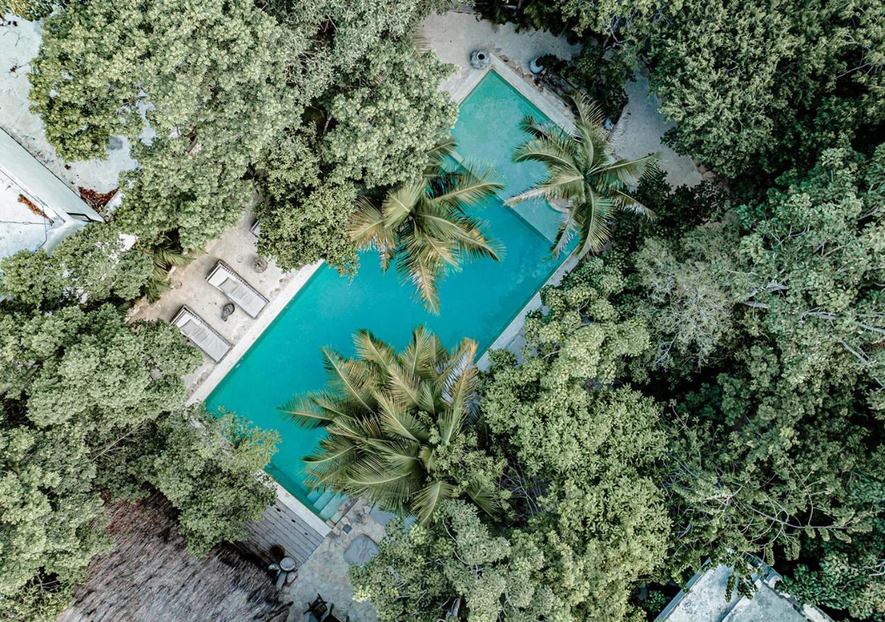 Vida Hotel