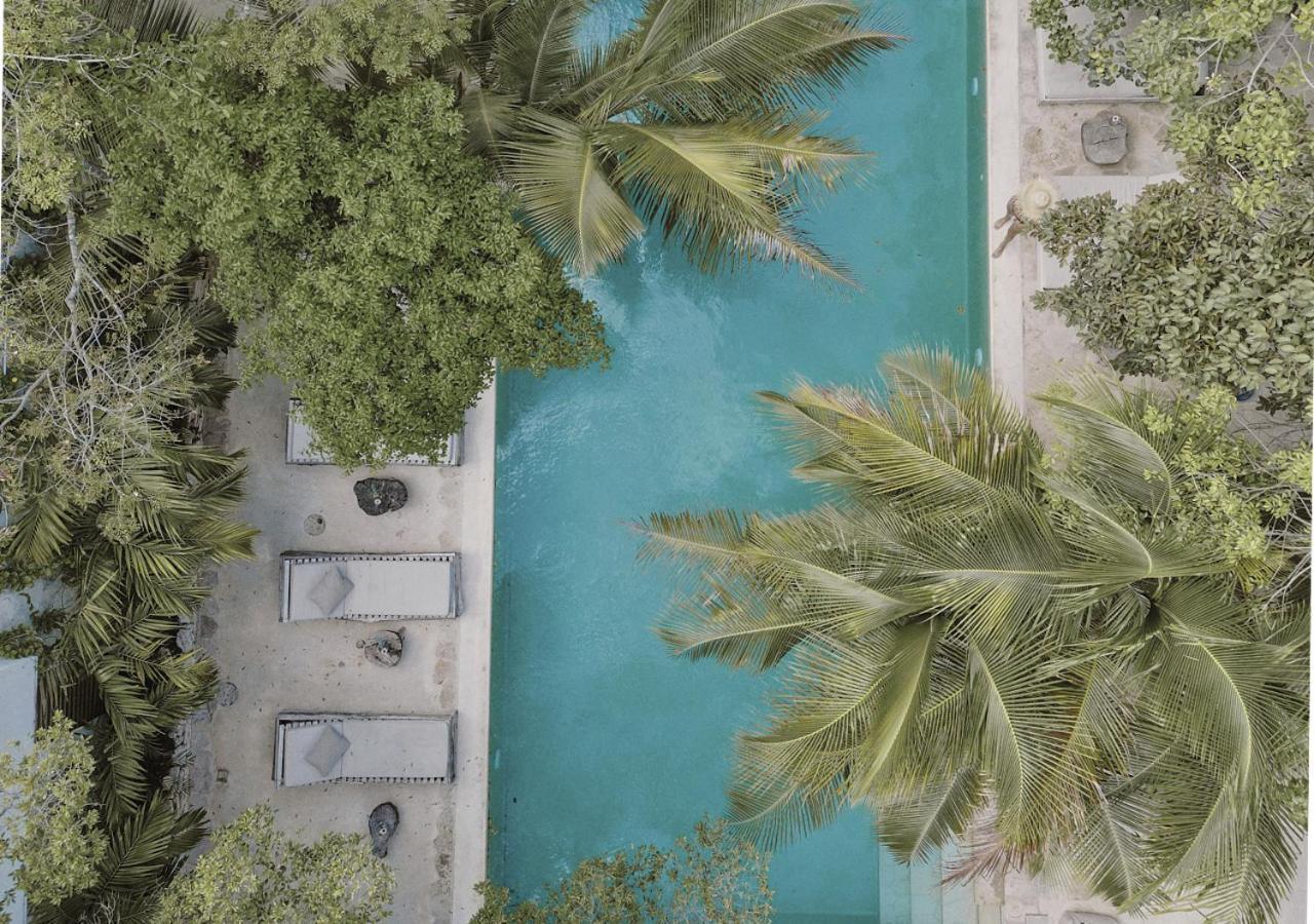 Vida Hotel