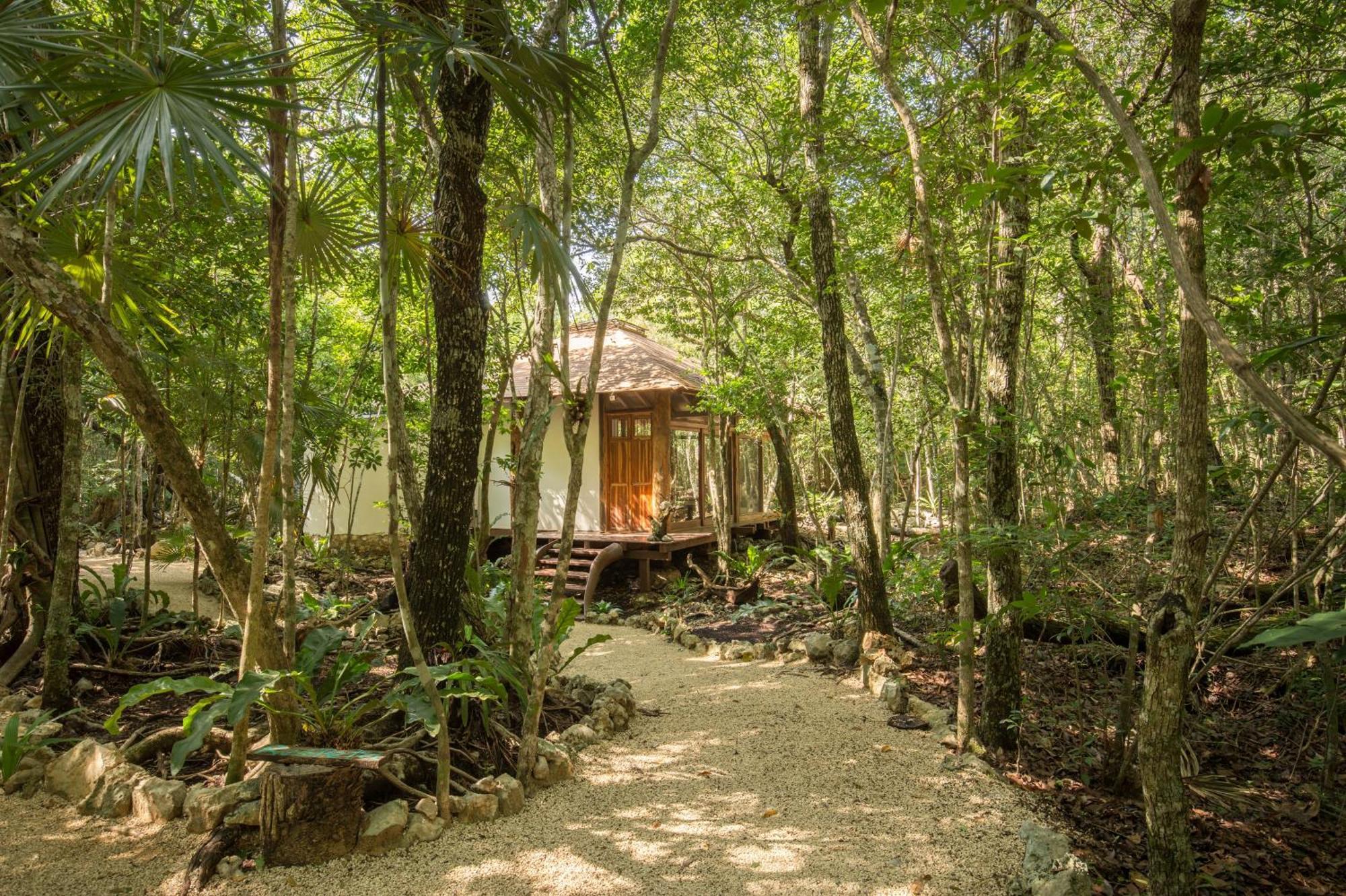 Pepem Holistic Experience - Peaceful Retreat Near (adults Only) *