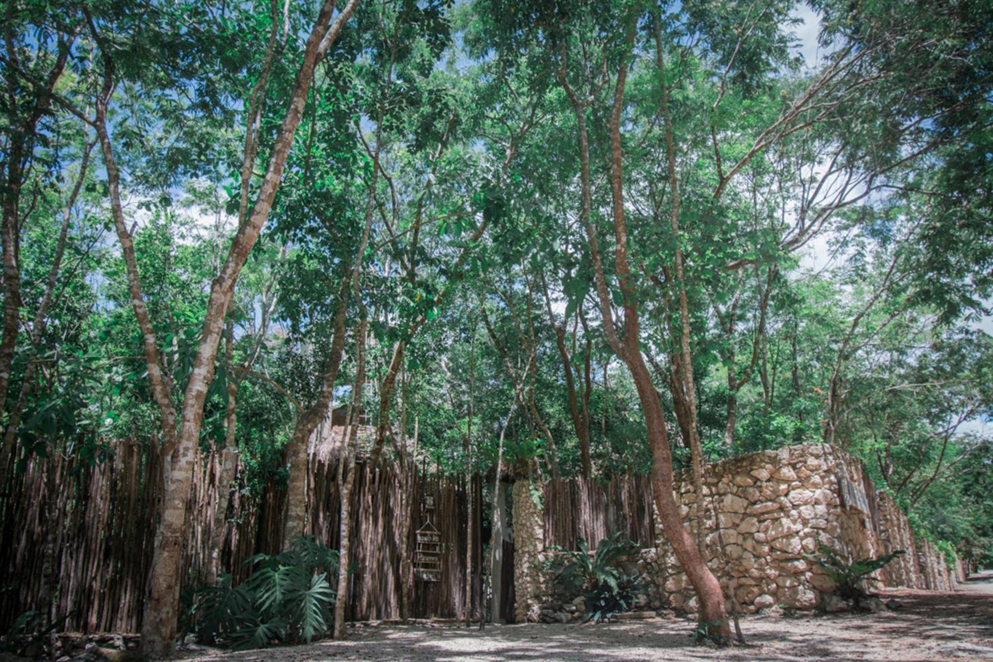 Pepem Holistic Experience - Peaceful Retreat Near (adults Only) Villa