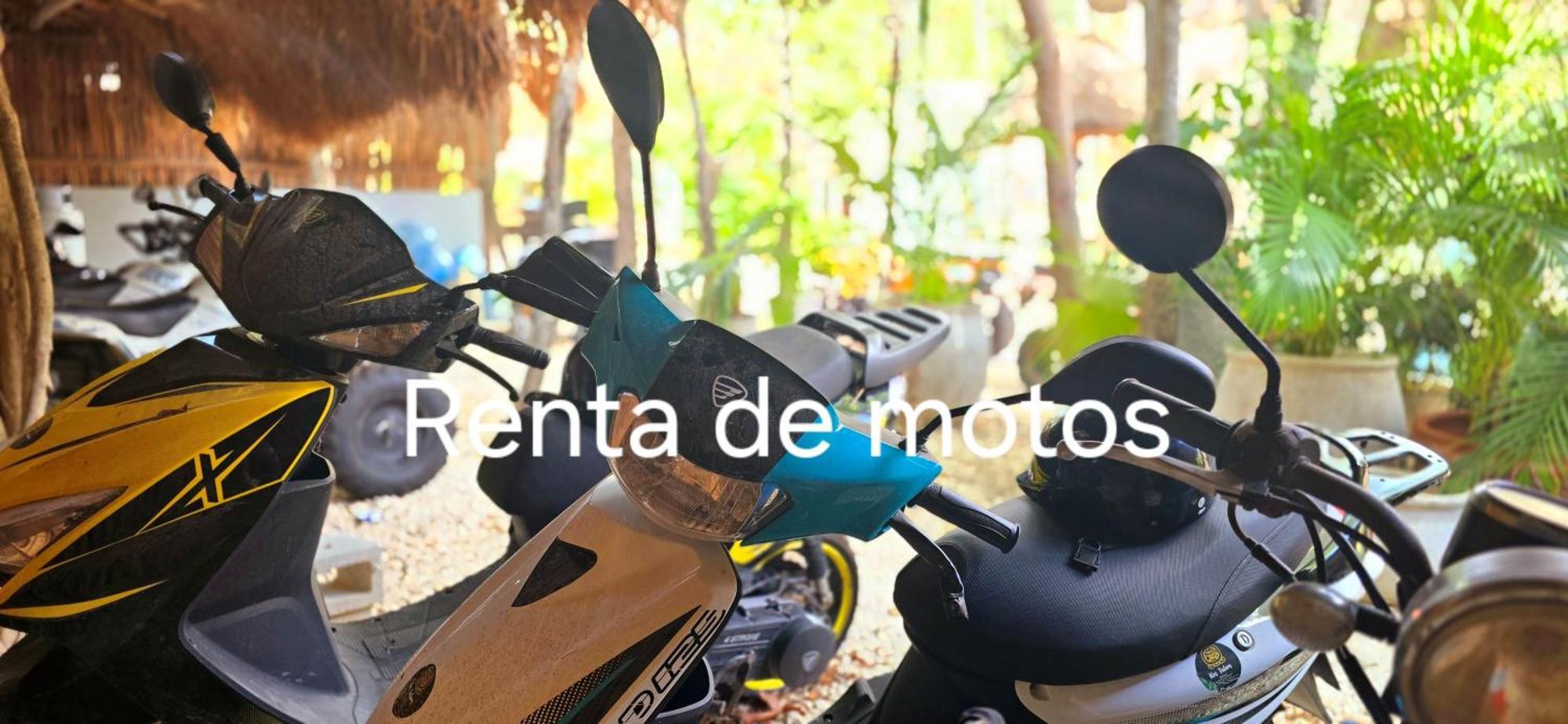 Kin Jungle Deluxe Pensión Tulum