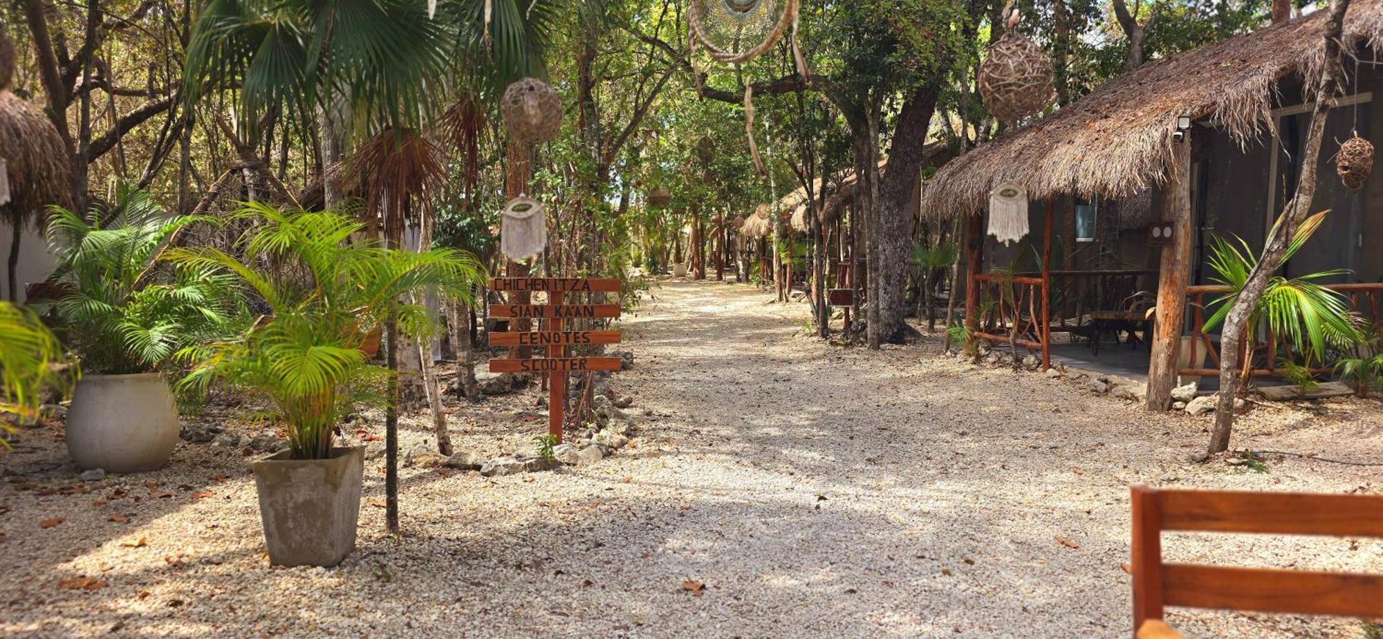 Kin Jungle Deluxe *