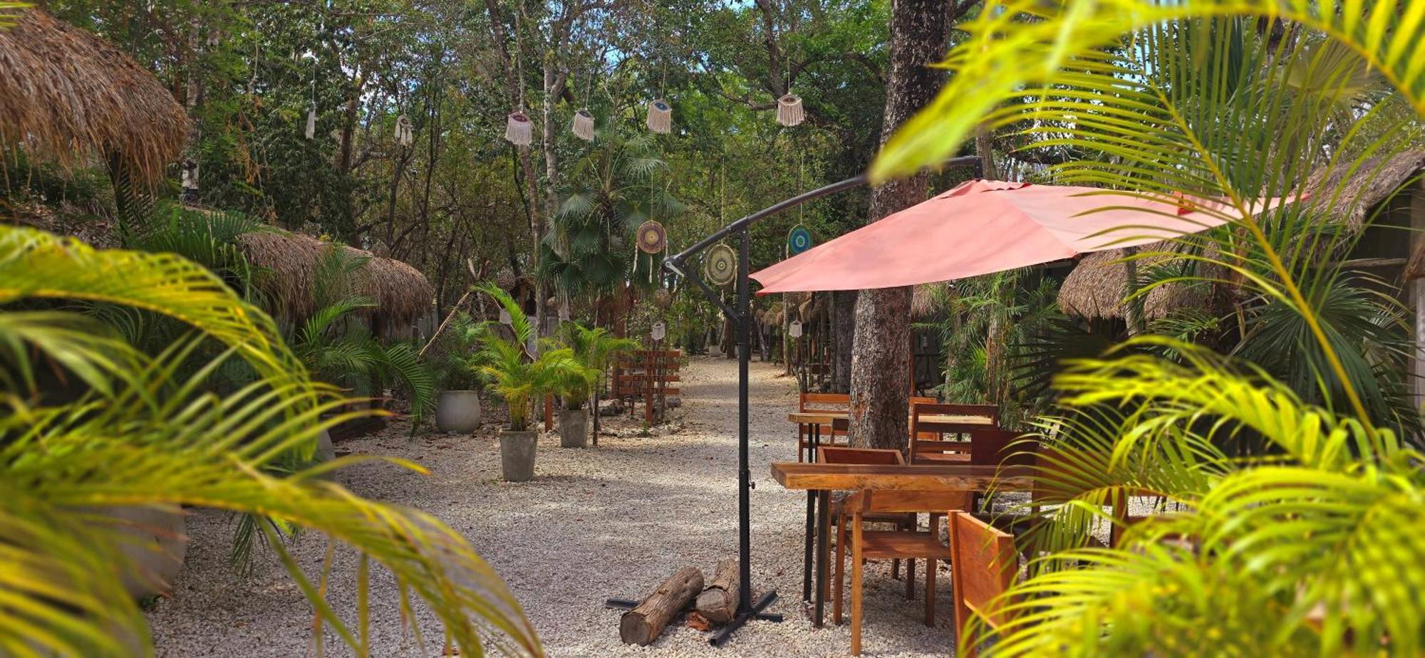 Pensión Kin Jungle Deluxe *